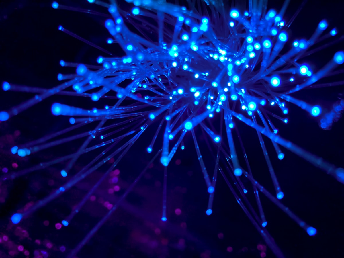 Cisco enterprise networking managed by Acuative