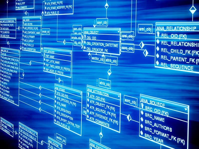 Database schema diagram for smart sub-setting