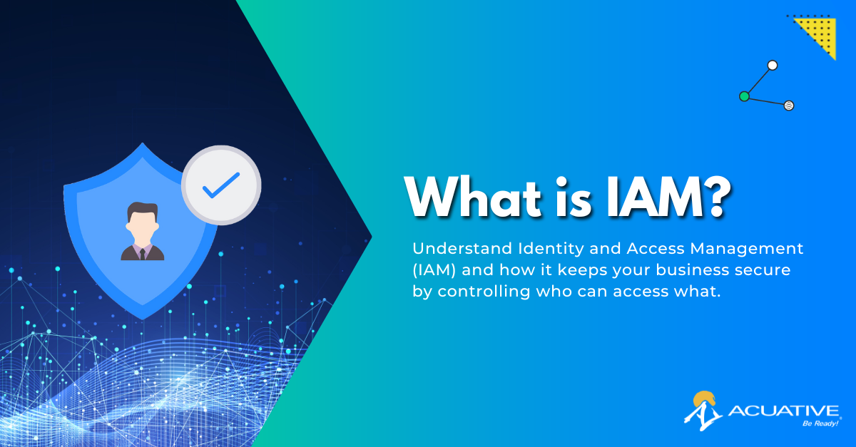what is IAM identity and access management