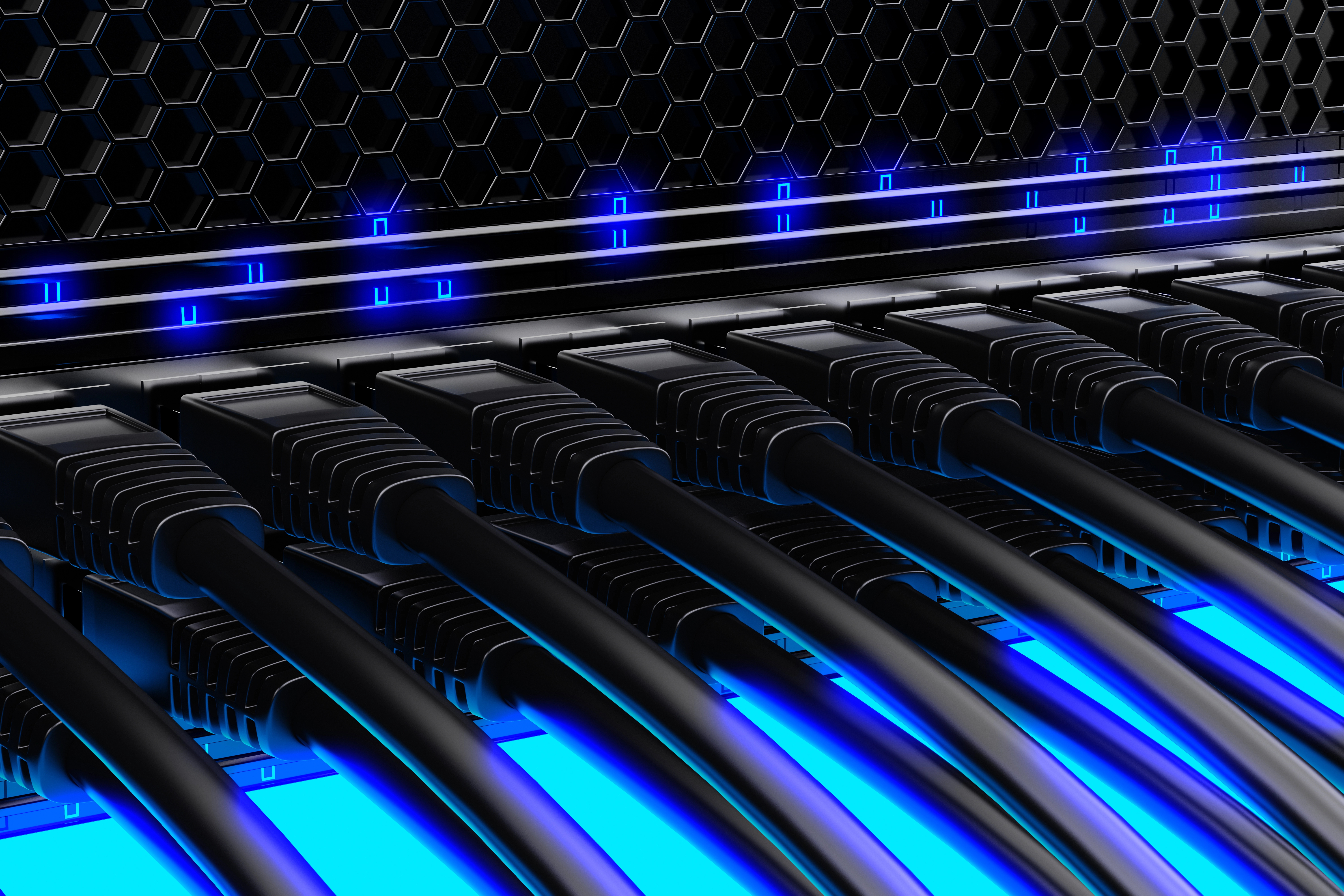 what are network cables