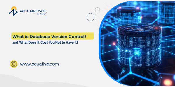 What is Database Version Control