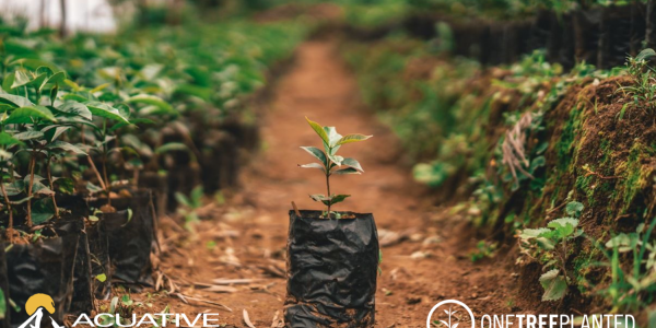 Acuative Partners with reforestation non-profit One Tree Planted