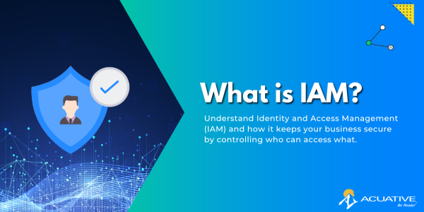 what is IAM identity and access management