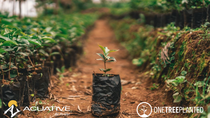 Acuative Partners with reforestation non-profit One Tree Planted