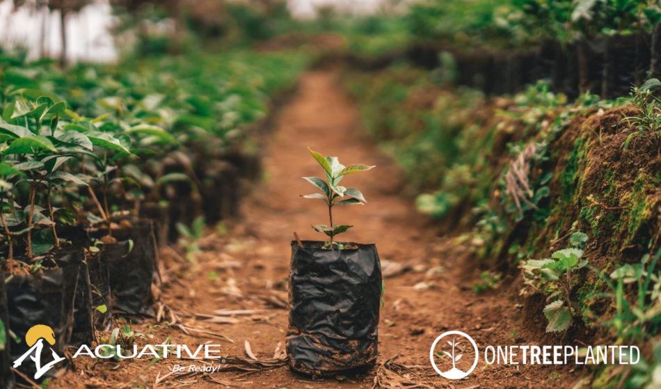 Acuative Partners with reforestation non-profit One Tree Planted
